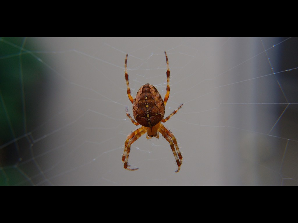 z-D80_3241